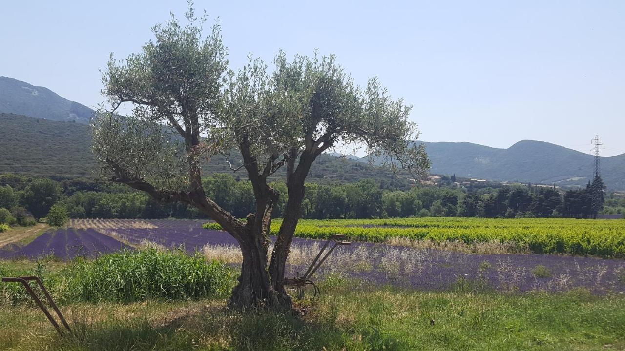 Le Pegue Gites Du Chateau D'Alencon מראה חיצוני תמונה